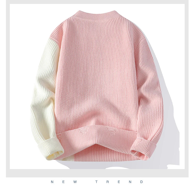 Men Dinosaur Knit Crewneck Sweater