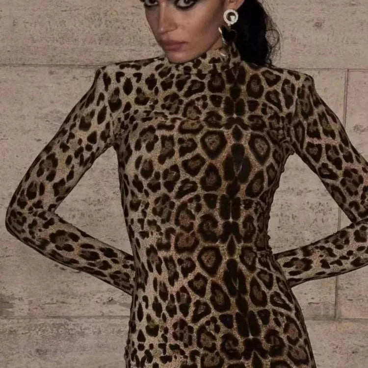 Women Long Sleeve Leopard Print Dress